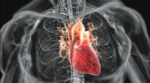 cuore-prevenire-attacco-cardiaco-sportivo-braccialetto